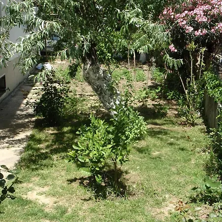 Liman Kusadası
