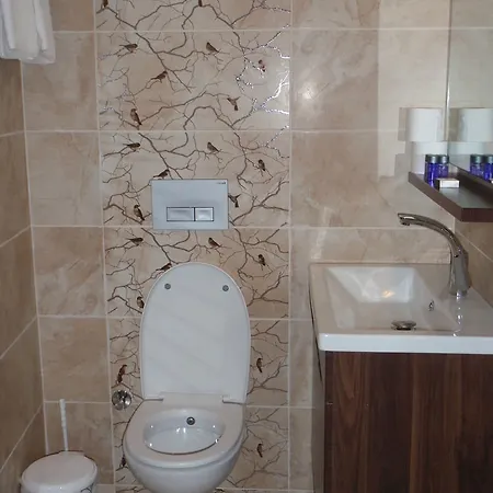 Liman Hotell 3*