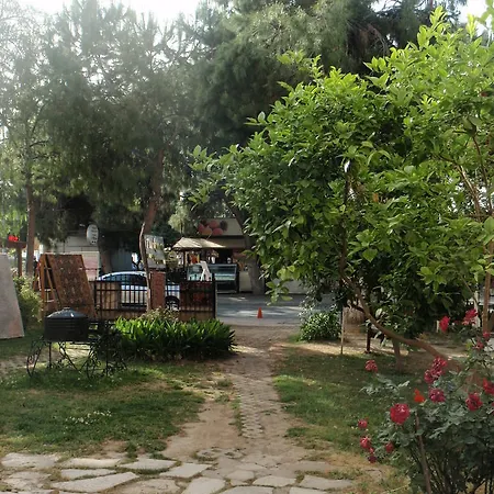 Liman