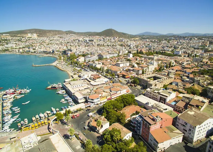 Liman 3*